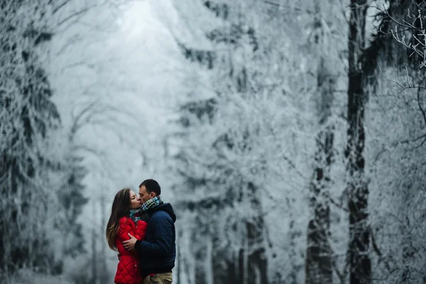 Couple marchant sur un parc d'hiver — Photo