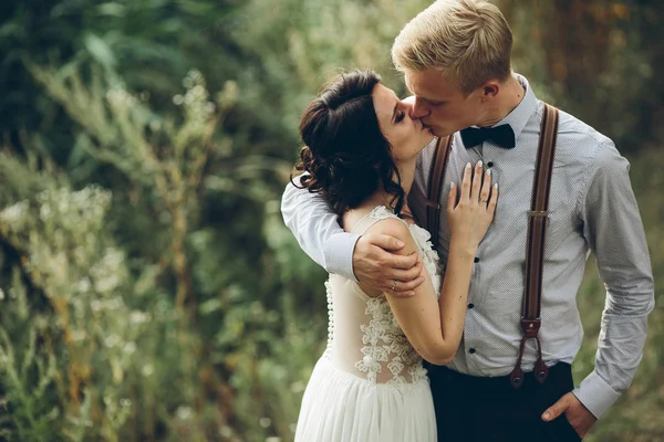 Noiva e noivo beijando — Fotografia de Stock