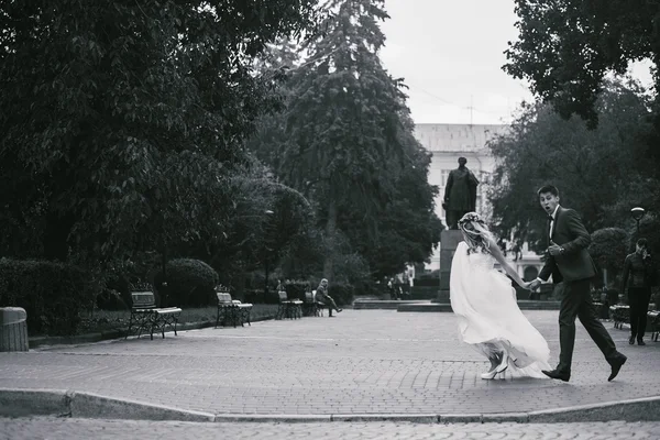 Bräutigam hält Braut in den Armen und verdreht — Stockfoto