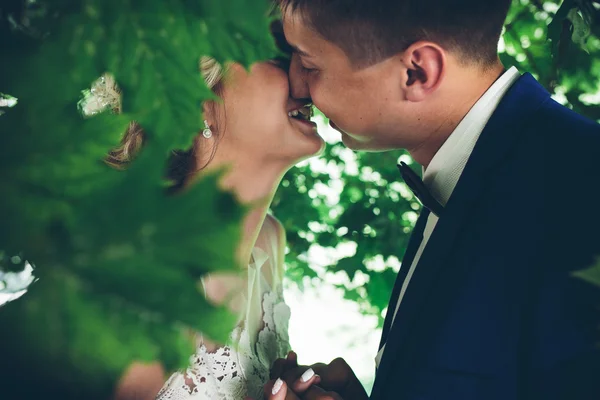 Hermosa pareja de boda posando —  Fotos de Stock