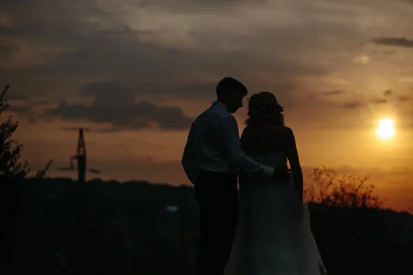 Silhouette de couple de mariage dans le domaine — Photo