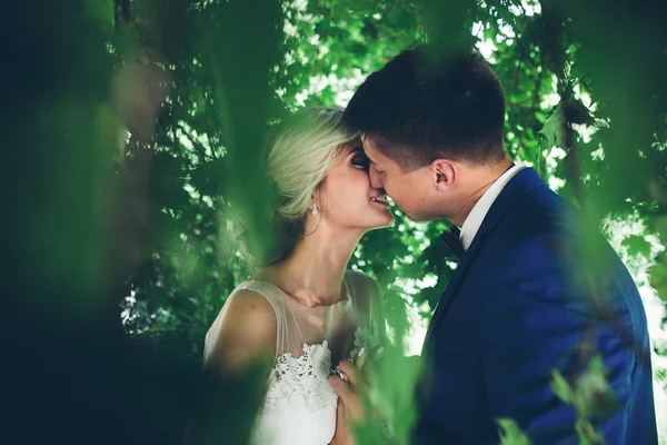 Beautiful wedding couple posing — Stock Photo, Image