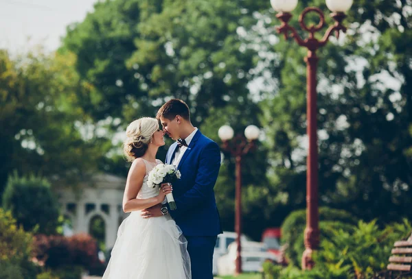 Hermosa boda pareja walkin — Foto de Stock