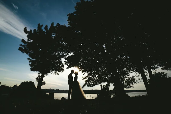 Sposo sposa in piedi nel parco — Foto Stock