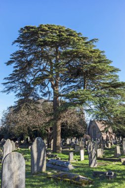 Milton Yolu Mezarlığı Weston-super-Mare, İngiltere