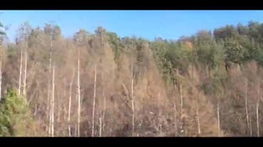 Çalışan bir trenin penceresinden görüntüle.