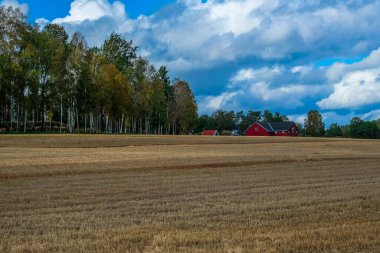 Norveç 'in güneyinde Sandefjord