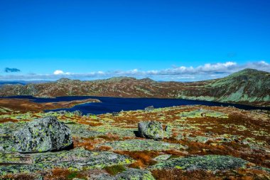 Hjartdal, Norveç 'in güneyinde muhteşem ormanlar, göller ve dağlarla dolu bir bölge.