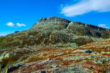 Hjartdal, Norveç 'in güneyinde muhteşem ormanlar, göller ve dağlarla dolu bir bölge.