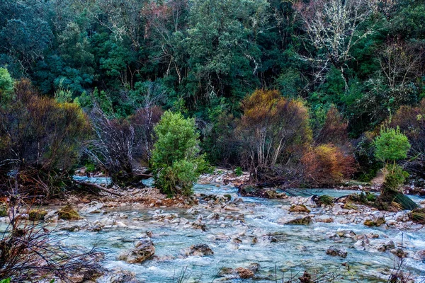 スペインのシエラ カゾラ自然公園のボローサ川 — ストック写真