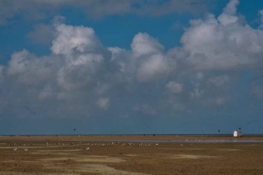 Yazın Belçika 'nın Kuzey Denizi' ndeki güzel uzun Zeebrugge plajı.