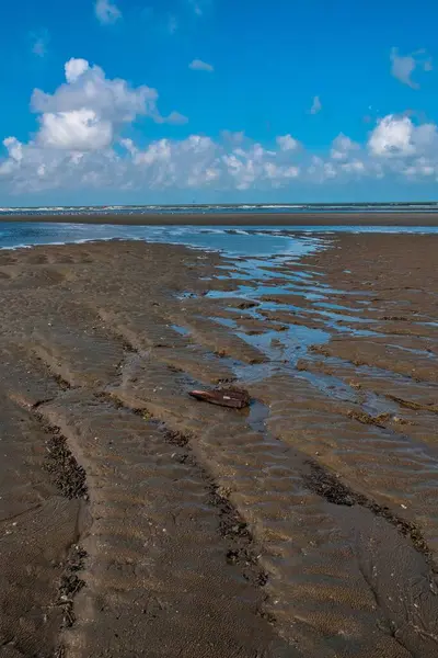 Yazın Belçika 'nın Kuzey Denizi' ndeki güzel uzun Zeebrugge plajı.