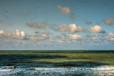Hollanda 'nın Kuzey Denizi' ndeki Domburg plajı güçlü bir rüzgarlı günde