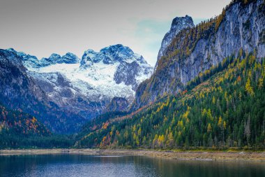 Avusturya 'daki Gosausee Gölü' nün yanında.