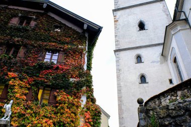 Avusturya 'daki güzel St. Wolfgang köyü.