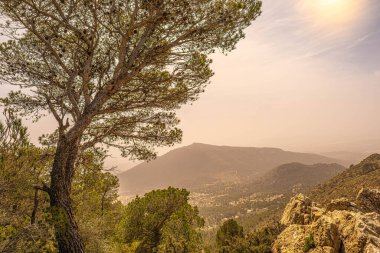 İspanya 'da Alicante' nin balkonundan şafakta sisle birlikte görüntüler