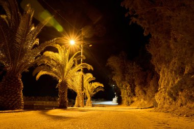 Sıcak sokak lambalarıyla aydınlatılmış palmiye ağaçları olan bir gece sokağı. Kıyı bölgesinde boş bir yol sakin ve gizemli bir hava yaratır. Tropikal gece hayatı, seyahat, yalnızlık, yaz akşamları ve huzurlu şehir manzarası kavramı..