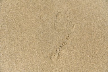Yumuşak kumsalda bir insan ayak izi, yakın planda yakalandı. Minimum bileşim kum dokusunu vurgular ve yolculuğu, hareketi, özgürlüğü, yalnızlığı, rahatlamayı, seyahat etmeyi, zamanı ve düşünceli yaşamı sembolize eder..
