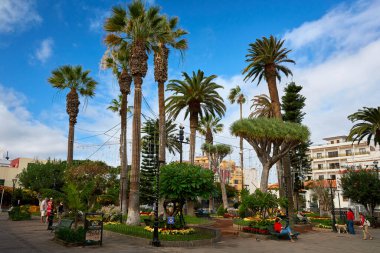 Güneşli bir günde insanlar palmiyelerle çevrili bir şehir parkında vakit geçiriyorlar. Arka planda tropikal bitki örtüsü, banklar ve konut binaları olan kentsel alan.