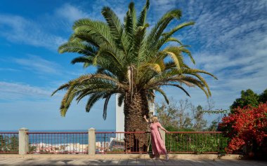 Pembe elbiseli bir kadın deniz kenarındaki büyük bir palmiye ağacının altında okyanus manzaralı ve kıyı kasabası manzaralı bir yerde duruyor. açık bulutlu mavi gökyüzü, tropikal bitki örtüsü ve sıcak güneş ışığı rahatlatıcı bir tatil atmosferi yaratır..