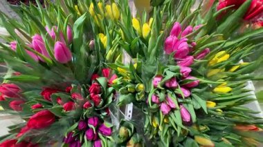 Pembe, sarı ve plastiğe sarılı taze lale buketleri. Çiçekçide ya da çiçekçide satılık bahar çiçeklerinin yakın çekim görüntüsü.