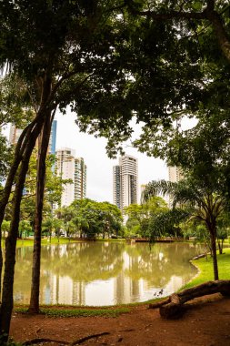  Flamboyant Park Gölü 'nün detayları ve bulutlu bir günde arka plandaki binalar..