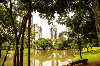  Flamboyant Park Gölü 'nün detayları ve bulutlu bir günde arka plandaki binalar..