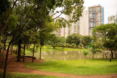 Flamboyant Park Gölü 'nün detayları ve bulutlu bir günde arka plandaki binalar..