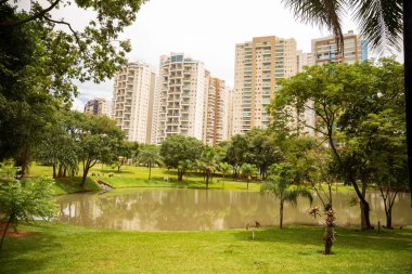 Flamboyant Park Gölü 'nün detayları ve bulutlu bir günde arka plandaki binalar..