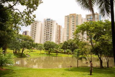 Flamboyant Park Gölü 'nün detayları ve bulutlu bir günde arka plandaki binalar..