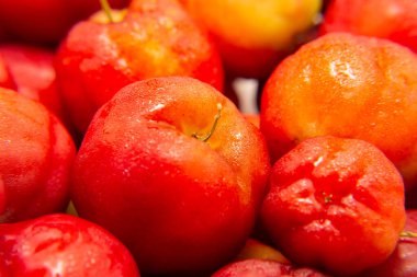 Soğutulduktan sonra ıslanan olgun aseroller yığınına yaklaş..