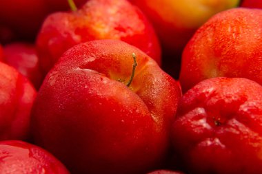 Soğutulduktan sonra ıslanan olgun aseroller yığınına yaklaş..