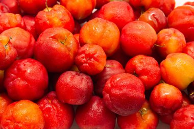  Soğuktan sırılsıklam olmuş olgun aseroller..