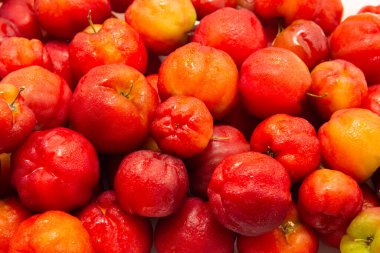  Soğuktan sırılsıklam olmuş olgun aseroller..