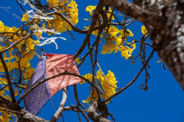 Arkaplanda mavi bir gökyüzüne bağlı renkli bir uçurtma olan sarı bir ipe..
