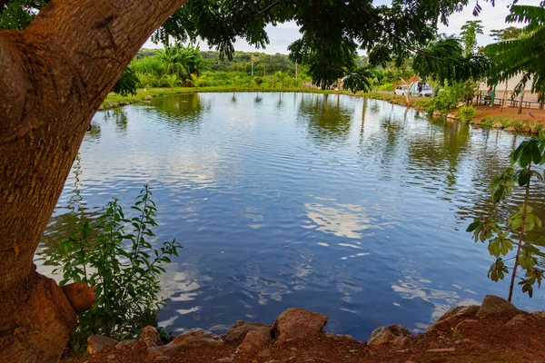 Lago Balnerio Parque Ciudad Goinia Lago Con Varios Árboles Alrededor —  Fotos de Stock