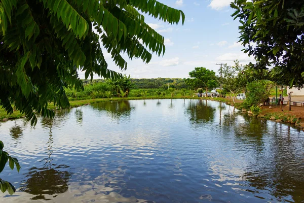 Lago Balnerio Parque Ciudad Goinia Lago Con Varios Árboles Alrededor —  Fotos de Stock