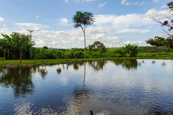 stock image Lake of Balnerio Park in the city of Goinia. Lake with several trees around and blue sky with some clouds.