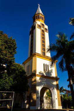 Katedral Metropolitana Nossa Senyora Auxiliadora. Goiania Metropolitan Katedrali 'nin ayrıntıları ağaç yaprakları arasında ve arka planda mavi gökyüzü.