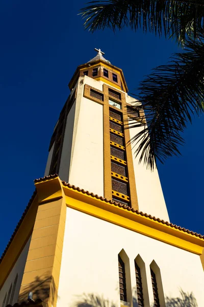 Catedral Metropolitana Nossa Senhora Auxiliadora Λεπτομέρεια Του Μητροπολιτικού Καθεδρικού Ναού — Φωτογραφία Αρχείου