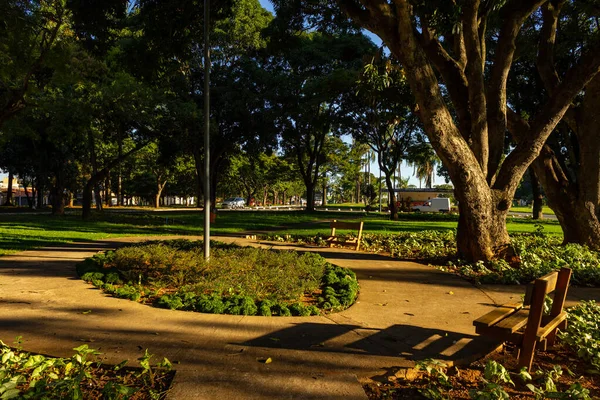 Dettaglio Una Piazza Molto Tranquilla Nella Città Goinia Una Piazza — Foto Stock