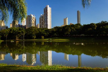 Brezilya, Goinia 'daki Parque Vaca Brava' daki göl manzarası.