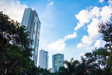 Ağaç dalları arasında ve arka planda mavi gökyüzü olan bazı binaların detayları. Fotoğraf Flamboyant Park 'ta çekildi..
