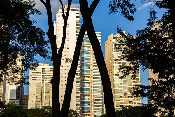 Detalle Algunos Edificios Entre Ramas Árboles Con Cielo Azul Fondo —  Fotos de Stock