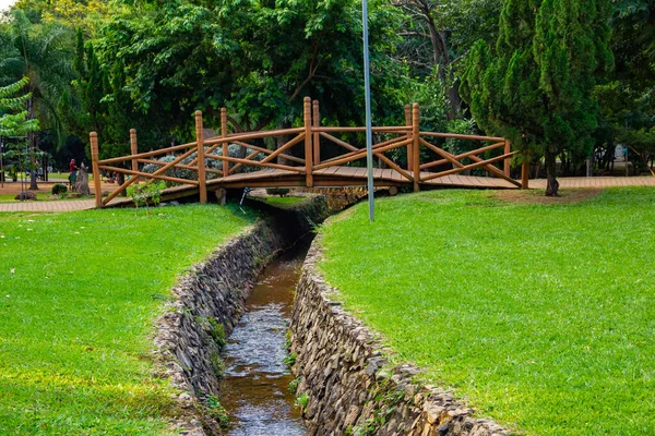 Pequeño Arroyo Puente Parque Flamboyant Ciudad Goinia —  Fotos de Stock