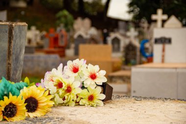 Goiania 'da bir mezarlıktaki çiçeklerin ayrıntıları. Cemitrio Parki.