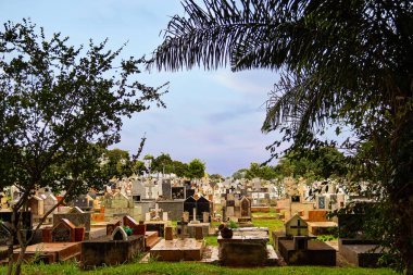 Fotoğraf Goiania 'daki Park Mezarlığı' nda çekildi. Park Mezarlığı 'nın ağaçlar arasındaki panoramik fotoğrafı..