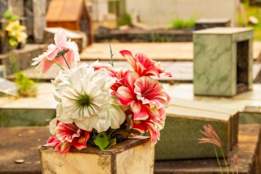 Goiania 'da bir mezarlıktaki çiçeklerin ayrıntıları. Cemitrio Parki.