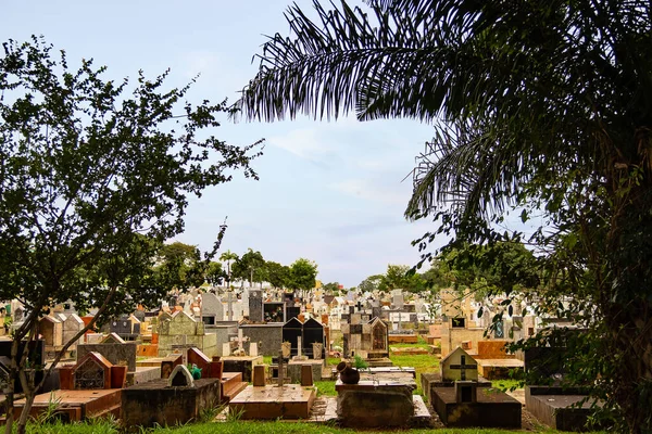 Foto Tomada Cementerio Park Goiania Foto Panorámica Del Cementerio Del —  Fotos de Stock