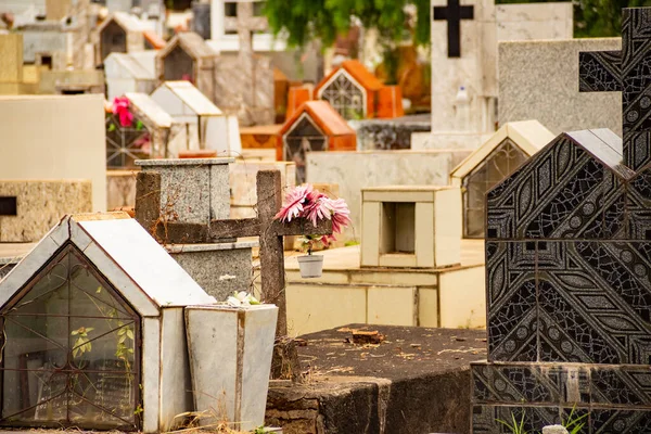 Immagine Diverse Tombe Nel Parco Cimiteriale Della Città Goiania — Foto Stock